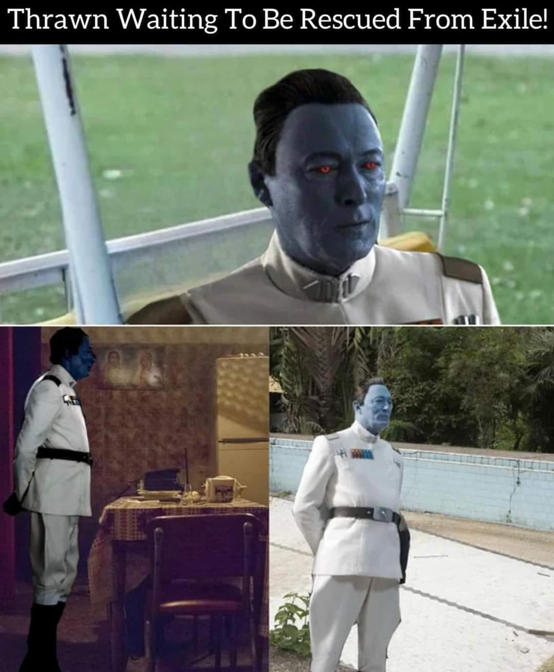 This meme is a screenshot of a character from the TV show "Star Wars Rebels" named Thrawn. The image shows Thrawn, a blue-skinned alien with a serious expression, looking out a window with a faintly amused tone on his face. The text "I've been waiting 40 years for this" appears at the top of the image, implying that Thrawn has finally been rescued from exile, a reference to the "Darth Vader" song "I've Been Waiting" by 2Pac.